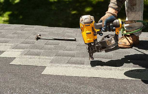 Best Roof Gutter Cleaning  in Carthage, NY